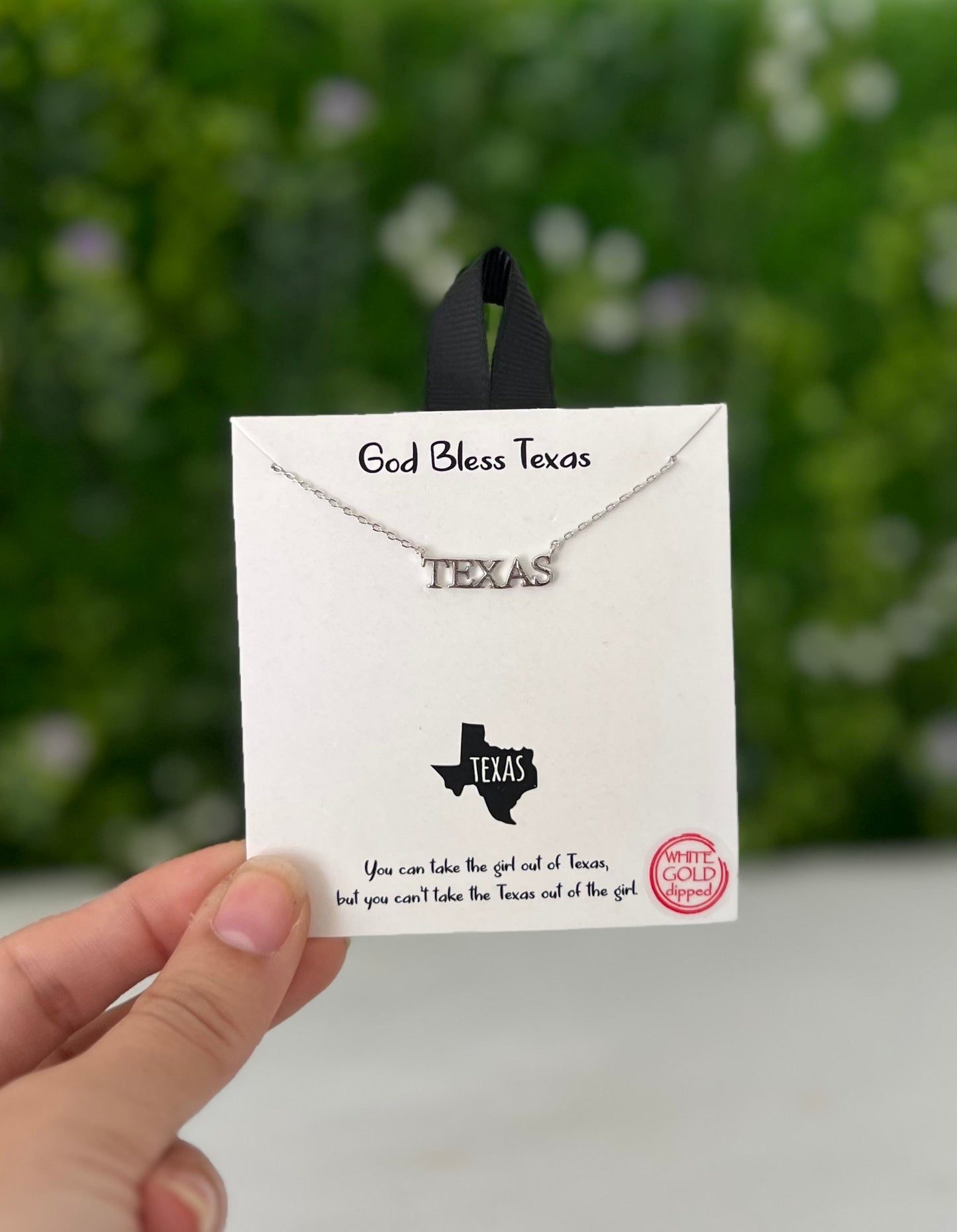 Texas Necklace -Silver